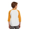 thumbnail image 2 of Colorblock Raglan Jersey, 2 of 2