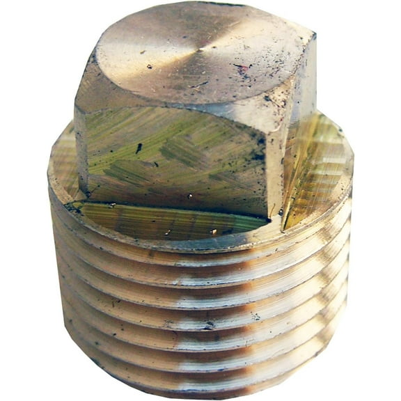 LASCO 17-9179 1/2-Inch Pipe Thread Brass Square Head Plug