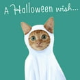 thumbnail image 4 of Hallmark Assorted Halloween Cards (Pets in Costume), pack of 8, 4 of 6