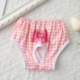 thumbnail image 3 of vnanda Female Dog Diapers Pet Menstrual Pants Comfortable Absorbent Dog Diapers Prevent Mess Breathable Bow Dog Clothes Elasticity Pants, 3 of 8