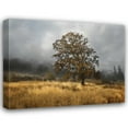 thumbnail image 1 of Vitaly Geyman 44x36 Gallery Wrapped Canvas Wall Art Titled - Field of Gold, 1 of 4