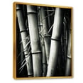thumbnail image 2 of Designart "Black And White Photo Of Bamboo III" Bamboo Floater Framed Canvas Prints, 2 of 5