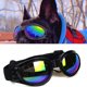 thumbnail image 3 of Gafas de sol polarizadas para perros pequeños, resistentes al viento, plegables y ajustables, con banda elástica, ideales para acampar al aire libre, viajes, fotografía, artículos esenciales para, 3 of 6