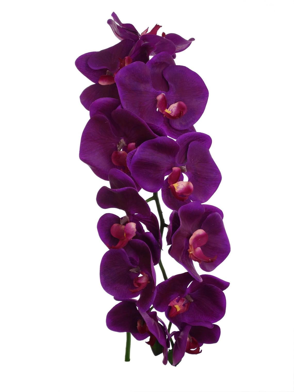 Real Touch Silk Orchid 36" 11 Flowers Purple Home, Office