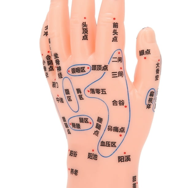 Reflexología mano izquierda sale