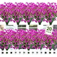 thumbnail image 3 of Artificial Flowers for Outdoors Fake Calla Lily Flowers Faux Plastic Plants UV Resistant Spring Summer Flowers for Garden Porch Patio Office Window Box Table Home Decorations, Fuchsia, 3 of 5