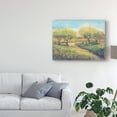 thumbnail image 3 of Trademark Fine Art 'Garden Path II' Canvas Art by Tim OToole, 3 of 4