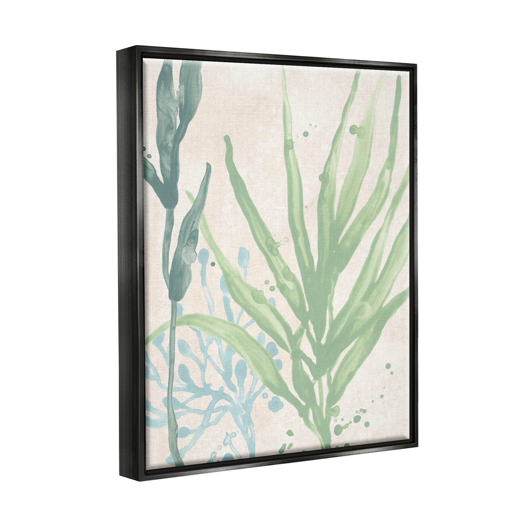 Stupell Industries Aquatic Seaweed Botanicals Graphic Art Jet Black Floating Framed Canvas Print Wall Art, Design by June Erica Vess