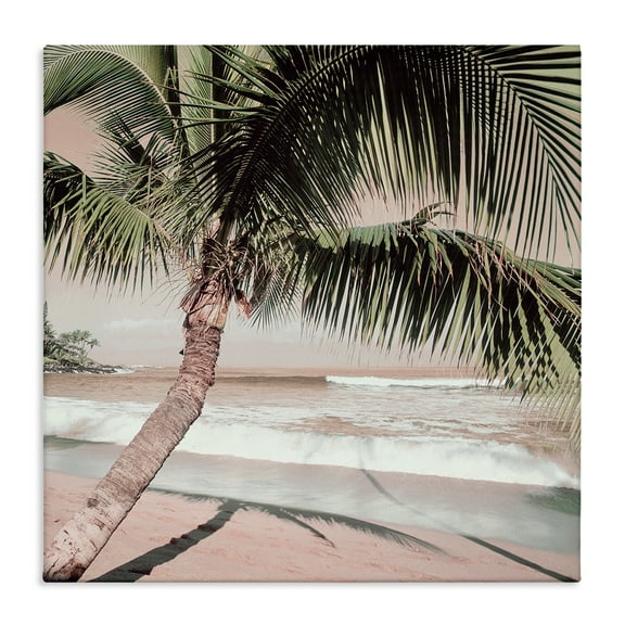 Stupell Industries Palm Tree Shadow on Sand Nautical & Beach Photography Wrapped Canvas Art Print Wall Art, 17 x 17