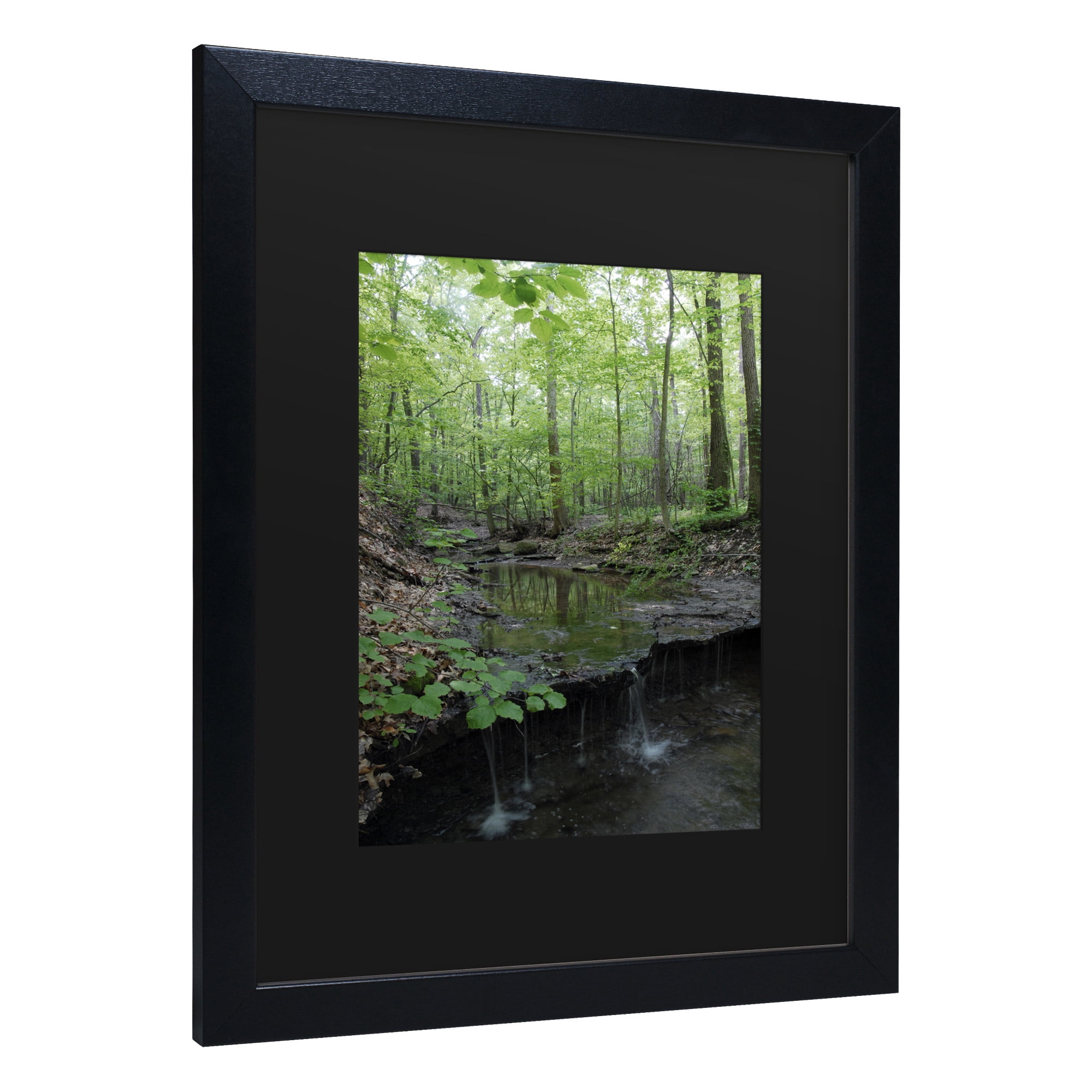 Trademark Fine Art 'Tiny Forest Falls' Canvas Art by Kurt Shaffer