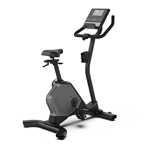 Schwinn 190 Upright Bike