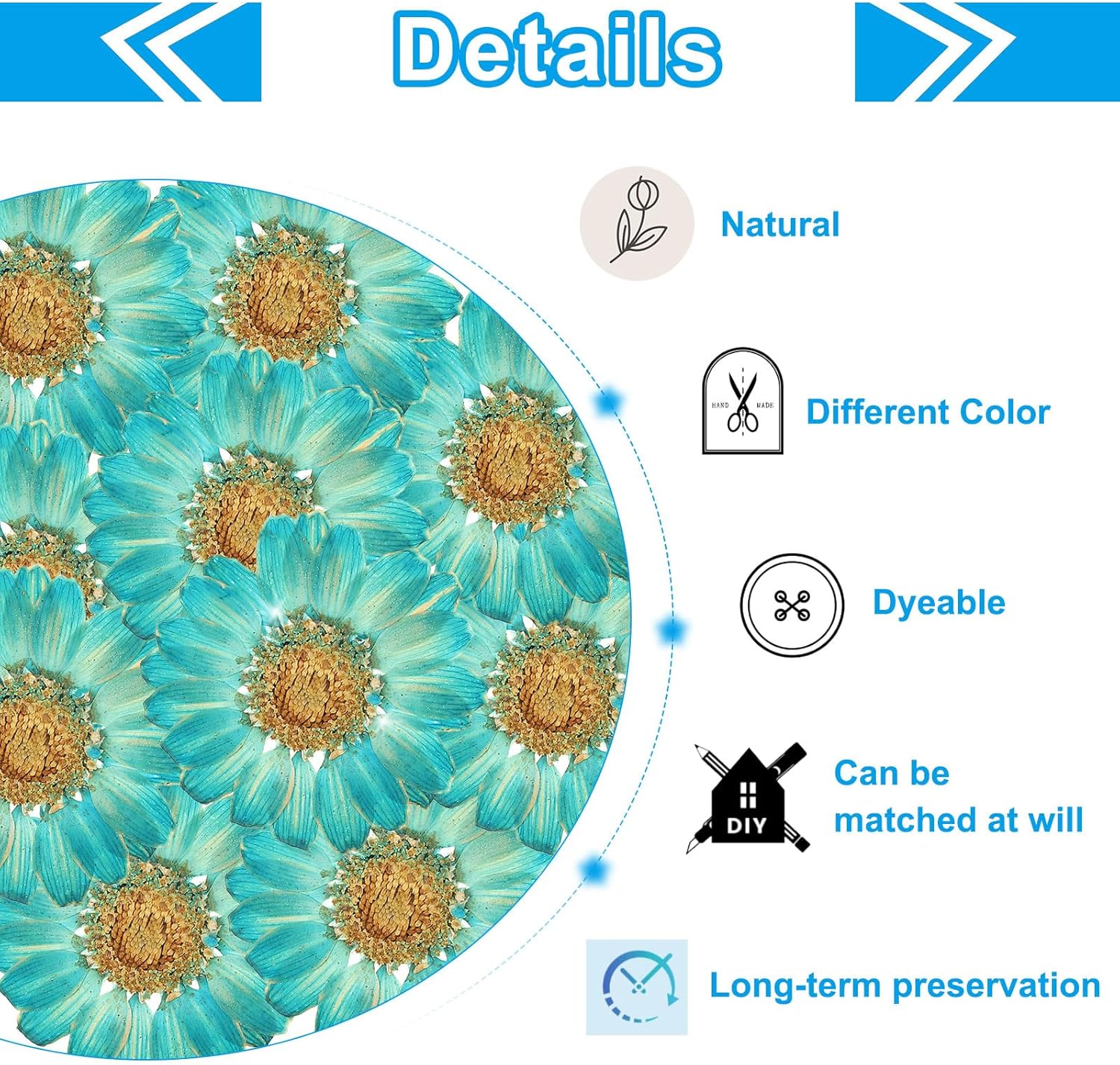 Dalrosia 48PCS Dried Daisy Flower, Vacuum Packaging, Pressed Flower for House Decoration, Jewelry Making, Phone case Decoration