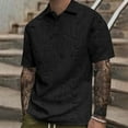 thumbnail image 2 of AHTJRT Mens Short Sleeve Polo Shirt Distressed Texture Point Collar Two Button Placket Regular Fit Fashion Leisure Tshirt Top Black 2XL, 2 of 4