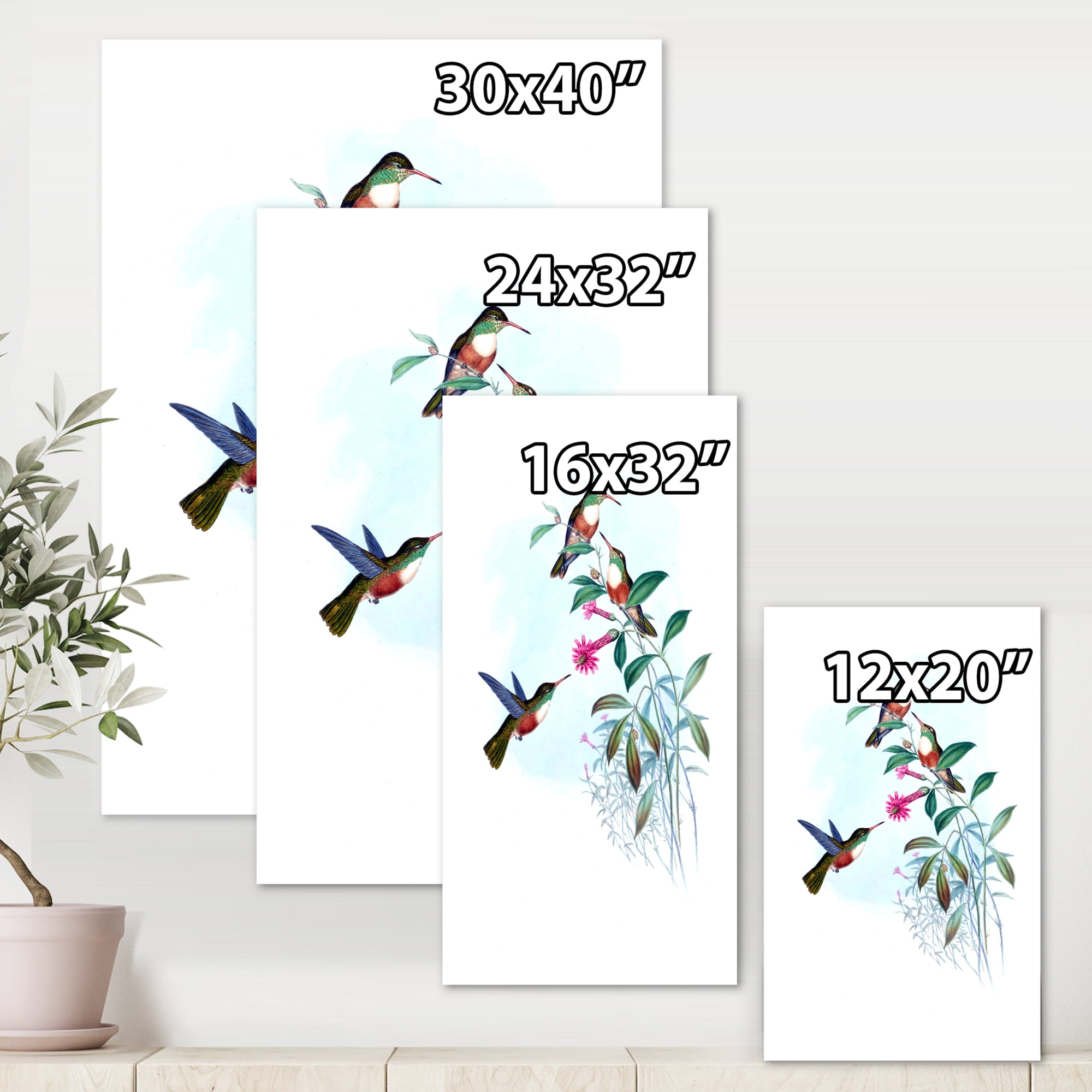 Designart ' Ancient Hummingbird IV ' Traditional Canvas Wall Art Print