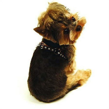 Max-A-Million White Star Collar/Harness Bundle