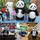 thumbnail image 5 of Disfraz inflable de oso polar panda de 2 m/2,6 m/3 m para publicidad, disfraz divertido de mascota para adultos, para Navidad y Halloween, 5 of 5