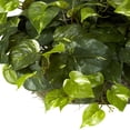 thumbnail image 3 of Nearly Natural 6708 Pothos Set on Foam Sheet Silk Plant, 3 of 6