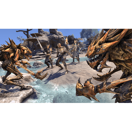 Bethesda Softworks Elder Scrolls Online: Summerset for PlayStation 4