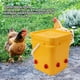 thumbnail image 4 of Bebedero Automático para Pollos Alimentador y Bebedero para Pollos de Barril de 12L Suministros para Gallinas Pequeñas Bebedero para Aves de Corral ANGGREK Otros, 4 of 8