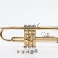 thumbnail image 2 of EeaseCA 5 PCS Trumpet Screw Replacement Trumpet Slide Finger Ring Fixing Screw Accessory, 2 of 7