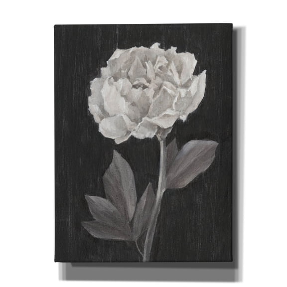 Epic Graffiti 'Black And White Flowers 4'  by Ethan Harper Canvas Wall Art, 12" x 16"