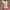 Pink, variant on Nmnitkp Womens Vest Dressy Casual V-Neck Button-Down Lined Suit Jacket Waistcoat Versatile Vests