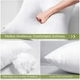 thumbnail image 2 of Throw Pillow Insert 20 X 20 Inch Premium Fluffy Pillow Stuffer Decorative Square Pillow Insert with Zips Cushion Inner Decorative Cushion for Sofa Bed Couch Stuffer Pillow, 2 of 7