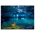 thumbnail image 1 of BSDHOME Polyester Photography Background Photo Backdrops Magic Theme Gloomy castle, stone road, pumpkin lights, tree, crows for Halloween 7x5ft, 1 of 2