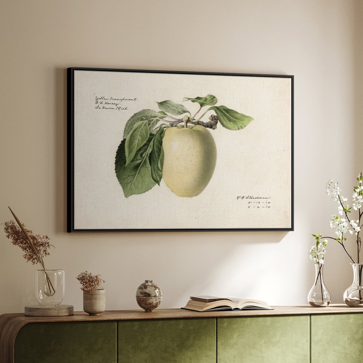 Vintage Botanical Print-XLV By Wexford Home Framed in Black Wood Gallery Wrapped Canvas 27 in. x 41 in.