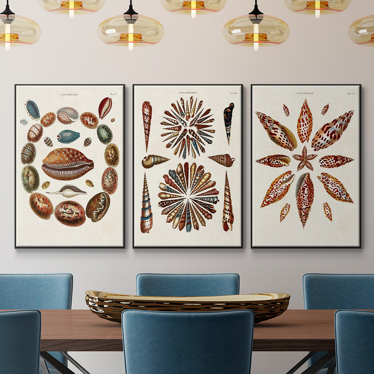Spiral Shell Formation I - Framed Premium Gallery Wrapped Canvas L Frame 3 Piece Set - Ready to Hang