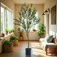 thumbnail image 3 of Artificial Olive Tree with Pot - 150CM (59") Real Touch Leaves, Pre-Potted & No Maintenance, Farmhouse Decor, 3 of 6