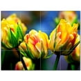 thumbnail image 1 of Flowers Ceramic Tile Mural Kitchen Backsplash Bathroom Shower 402366-XL43, 1 of 3