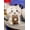 JIYI, variant on Usagi Weeding Certificate Series Hachiware Camera Plush Toy Large Doll Bear Chiikawa Sofa Pillow Bedroom Ornament Gift