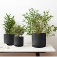 Matt Black Plant Pots Garden Planters Set 3 Indoor Outdoor Ceramic