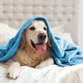 thumbnail image 6 of IR Imperial Rooms Adult Fleece Bed Blanket 310 GSM Microfiber Lightweight Warm Fluffy Cozy Plush Sky Blue Queen Size, 6 of 13