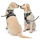 thumbnail image 2 of Pecheras Para Perros Con Correa Y Cinturón De Seguridad, 2 of 8