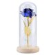 thumbnail image 1 of Preserved Rose Flower LED Light with Glass Cover & Wooden Base Valentines'Day Wedding Blue, 1 of 4