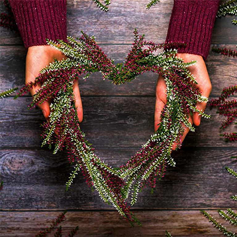 Amazon Heart Metal Wire Wreath Frame Bee Wreath Form 3pcs Flower