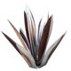 thumbnail image 1 of Adornos plantas agave Kuymtek Hierro Forjado Decorativos para Patio jardín astilla 27 CM, 1 of 6