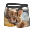 thumbnail image 2 of Balery Relaxing Cat With Orange Juice Men's Boxer Briefs, Soft and Breathable Cotton Underwear with nylon Waistband-XX-Large, 2 of 9