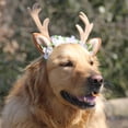 thumbnail image 3 of Mascota perro gato cuernos diadema aro Cosplay disfraz Halloween Nad accesorio Sunnimix Cinta de perro de perro, 3 of 8