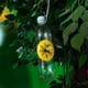 thumbnail image 5 of para avispas con forma de reloj de arena de 10 piezas: atrapa avispas, para abejas, no tóxica, ecológica, segura y limpia. No se necesit Sunnimix trampas de avispones, 5 of 8