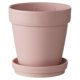 thumbnail image 3 of Maceta de cactus, maceta para plantas, recuerdo de boda, plantas y flores Rosa, 3 of 9
