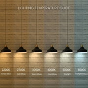Great Value BR30 LED Floodlight Bulbs, 7.5W (65W Equivalent), Daylight 5000K, E26 Medium Base, Dimmable, 16 Pack