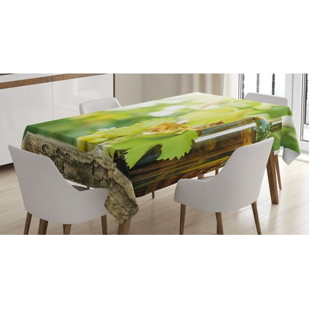 Grapes Vinyl Tablecloth - Wine Tablecloth, White Wine Bottle Glass Young Vine and Bunch of Grapes in Green Spring, Rectangular Table Cover for Dining Room Kitchen, 52 X 70 Inches, Light Green Yellow Brown, by Ambesonne