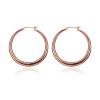 E031-A Compras gratis Pendientes chapados en oro de 18 quilates Pendientes de circón Oro rosa-110485.02 Likrtyny Para estrenar