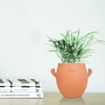 thumbnail image 3 of YOBRO Mr. Smile Large Plant Pot with Drainage, Cute Clay Planter for Succulent, Funny Gifts for Plant Lovers, Face Terra Cotta Flower Pots for Indoor and Outdoor, 5 Inches, 3 of 9