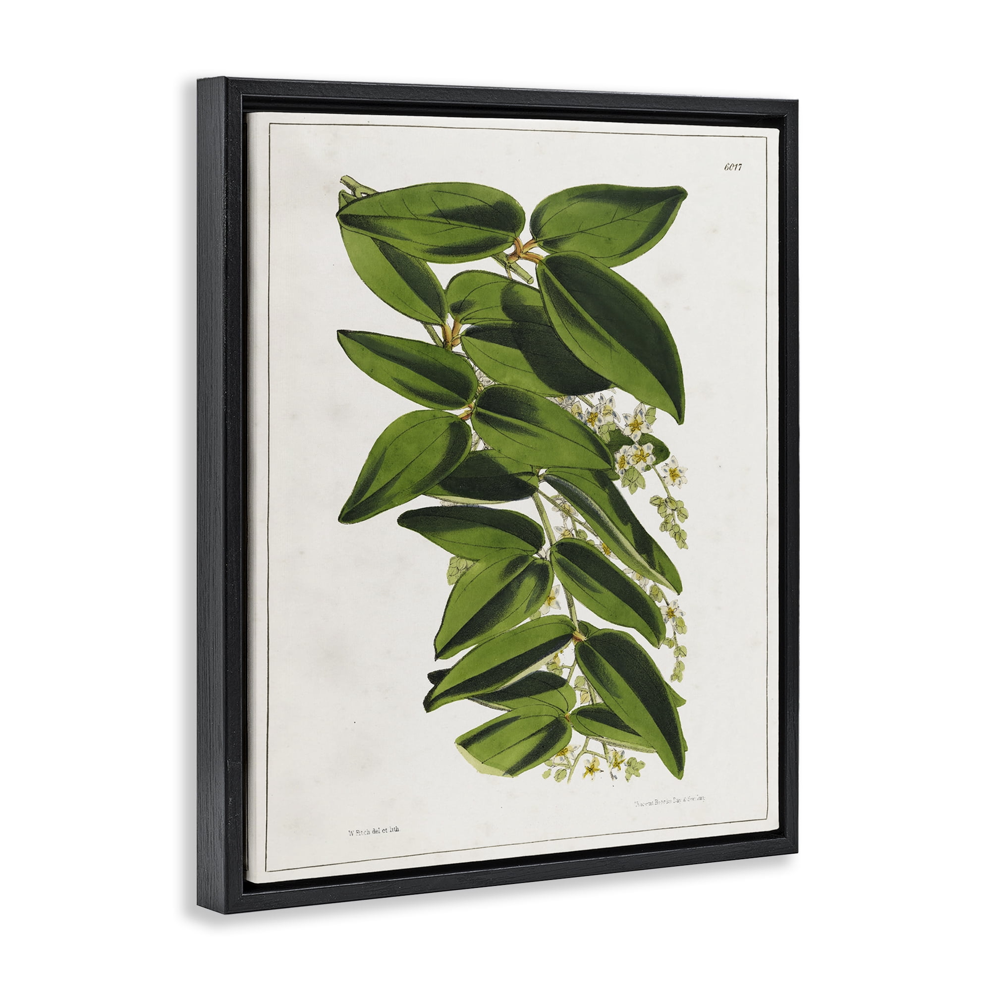 Stupell Industries Stacked Leaves Botanical Plants & Flowers Painting Black Floater Framed Canvas Art Print Wall Art, 17 x 21