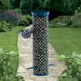 C&S Products Green Wire Suet Nugget or Ball Wild Bird Suet Feeder
