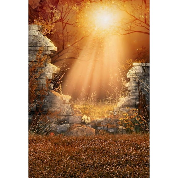 Halloween Backdrops for Kids Light Across Brick Wall Photoph Background Fond Studio for Portrait Foto Vinyl Photography